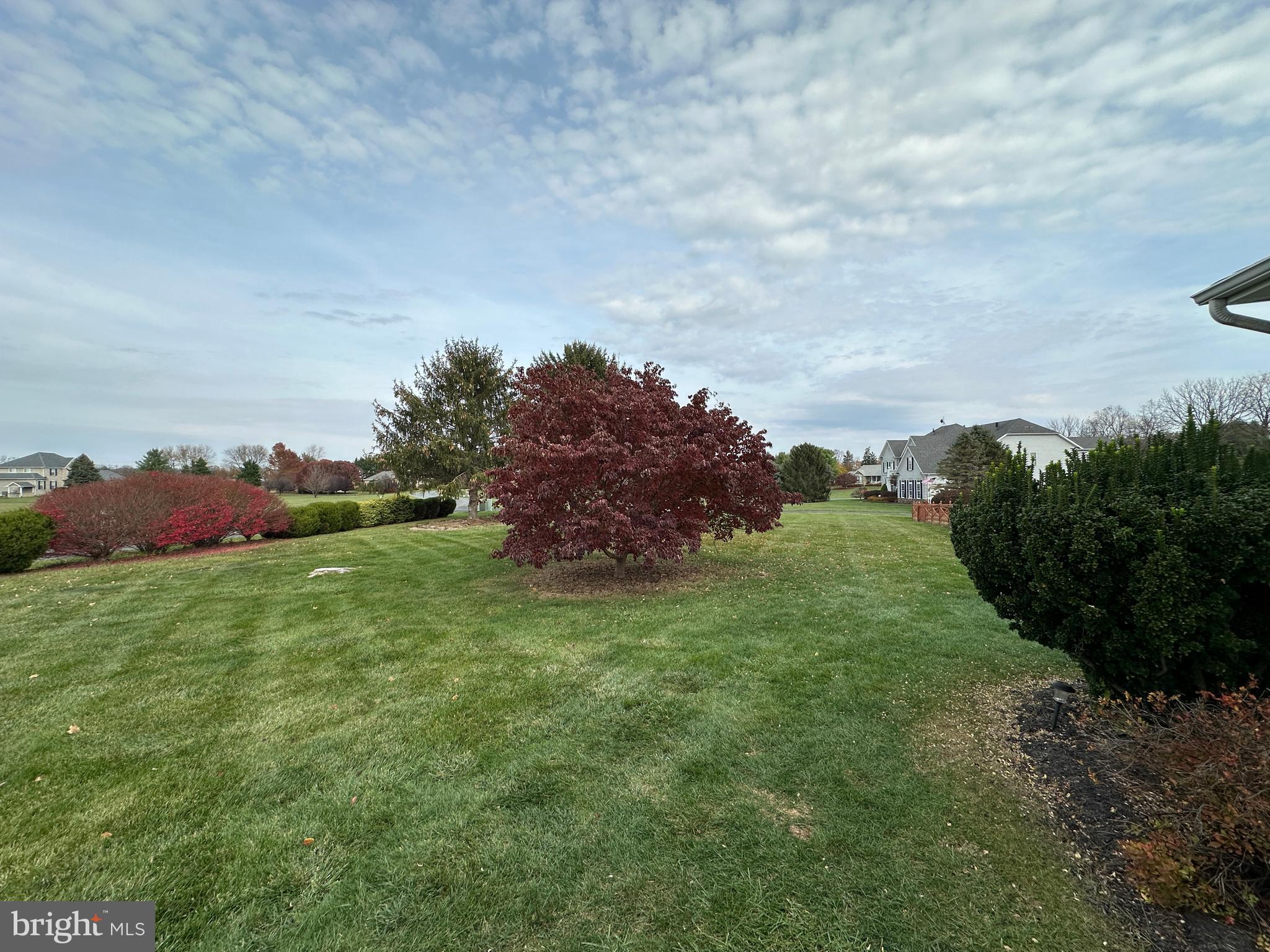 201 Vista Lane White Post, VA 22663 - Photo 7 of 61 a backyard of a house with lots of green space and trees