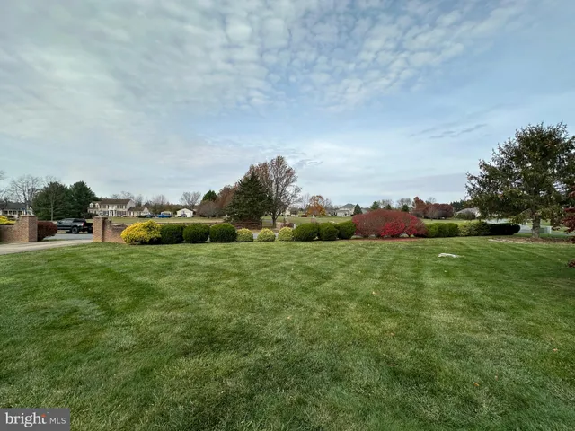 a view of a garden with an outdoor space