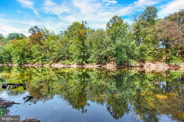 a view of a lake with a tree