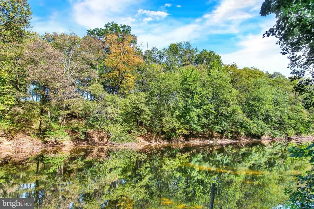 a big yard with lots of trees