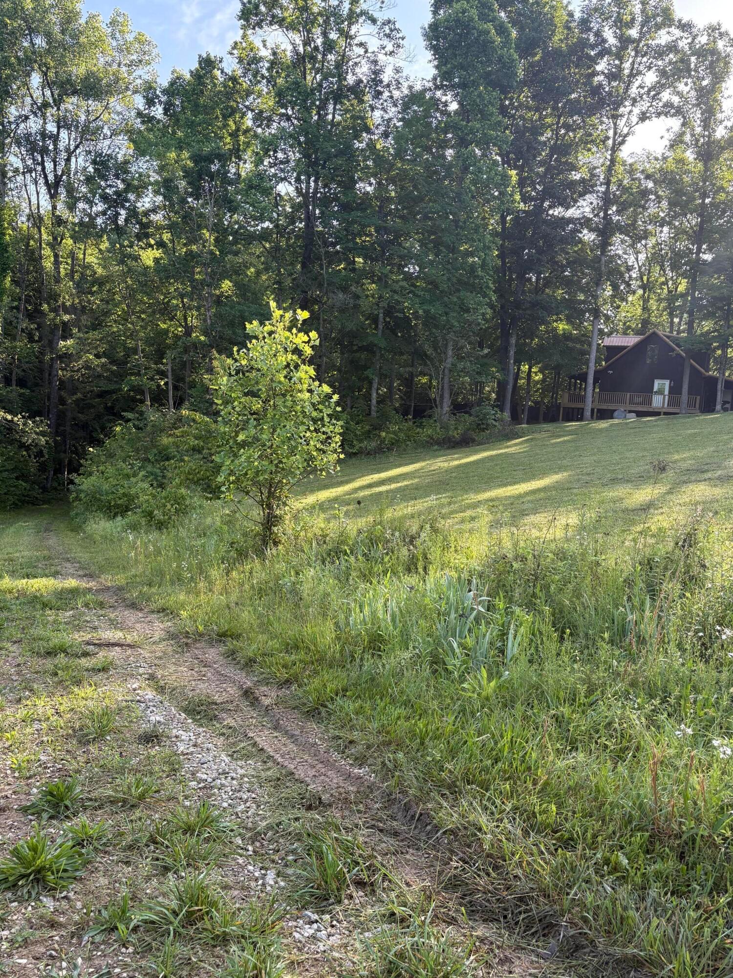 61080 Bolar Road McArthur, OH 45651 - Photo 60 of 66 IMG_9219