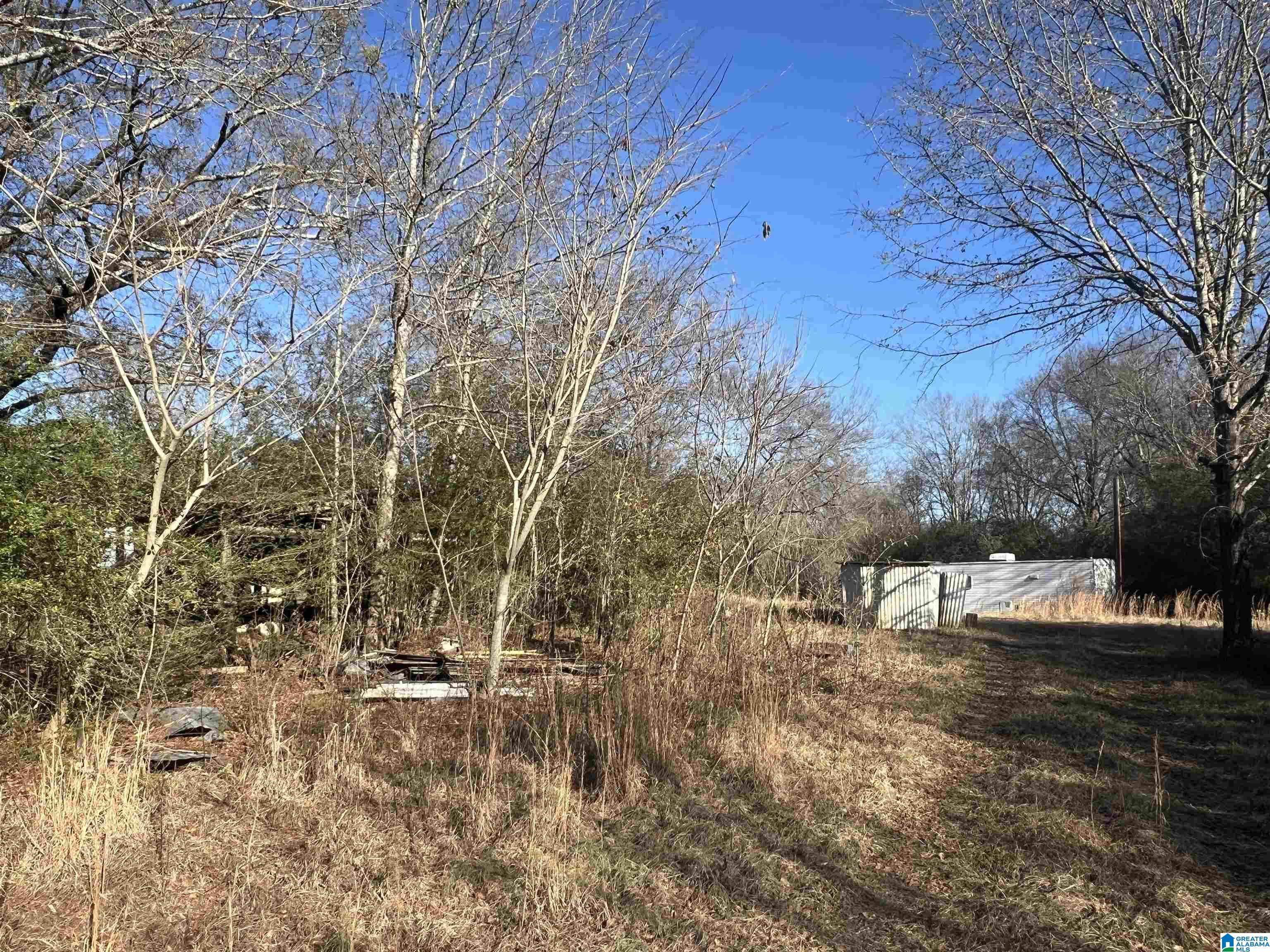 9357 Plant Road Alpine, AL 35014 - Photo 14 of 16