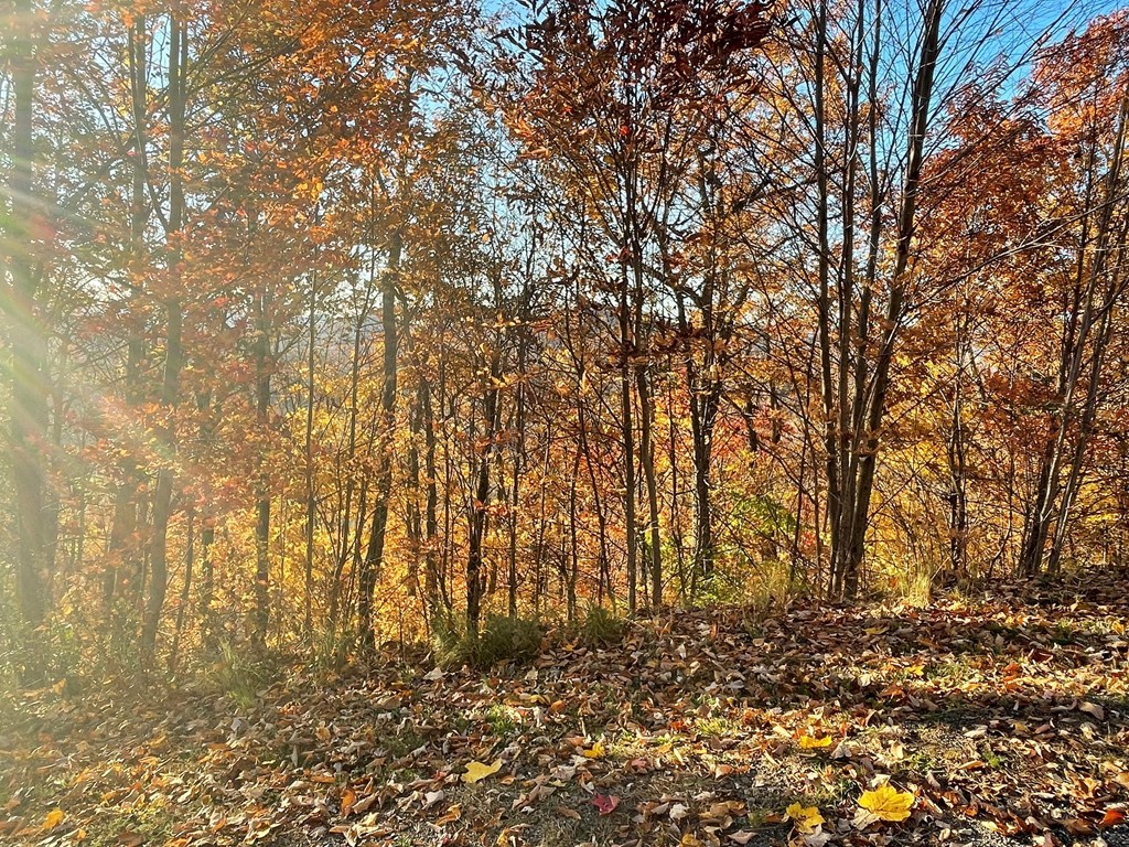 Lot 58 M Ridges Hayesville, NC 28904 - Photo 2 of 4