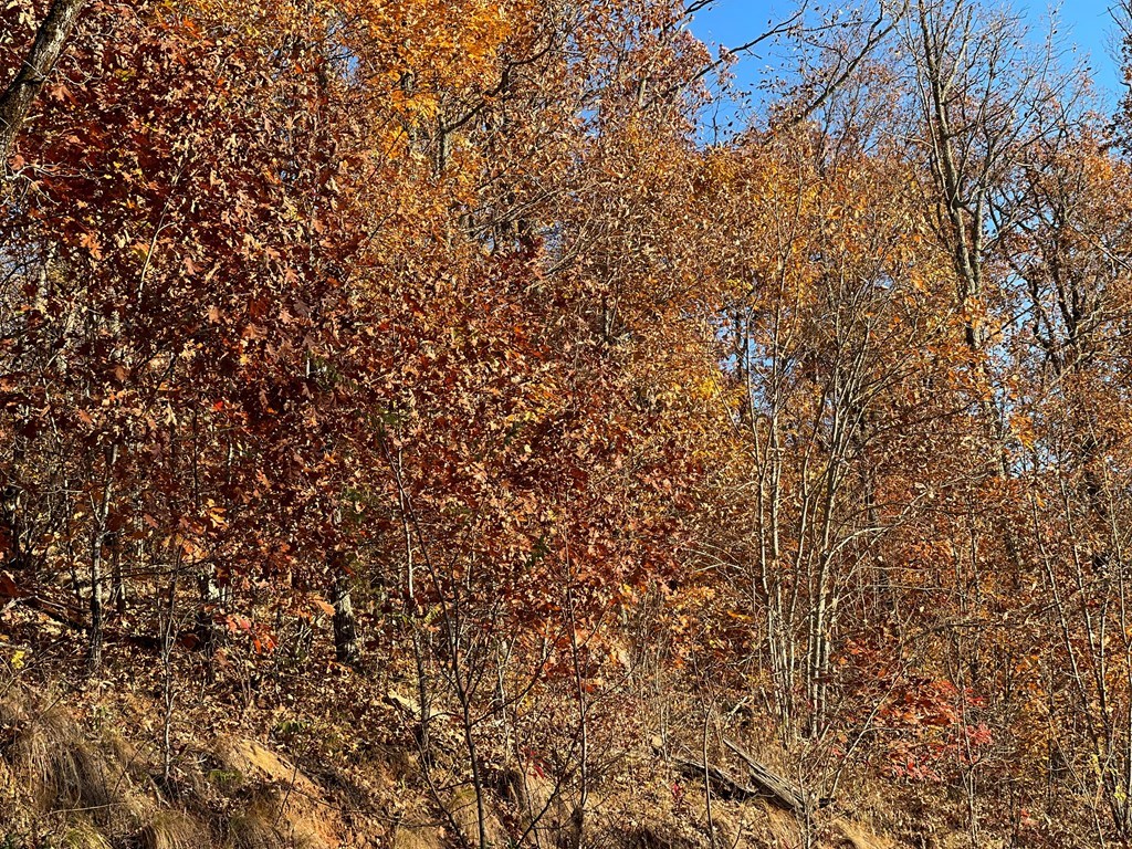 Lot 58 M Ridges Hayesville, NC 28904 - Photo 3 of 4