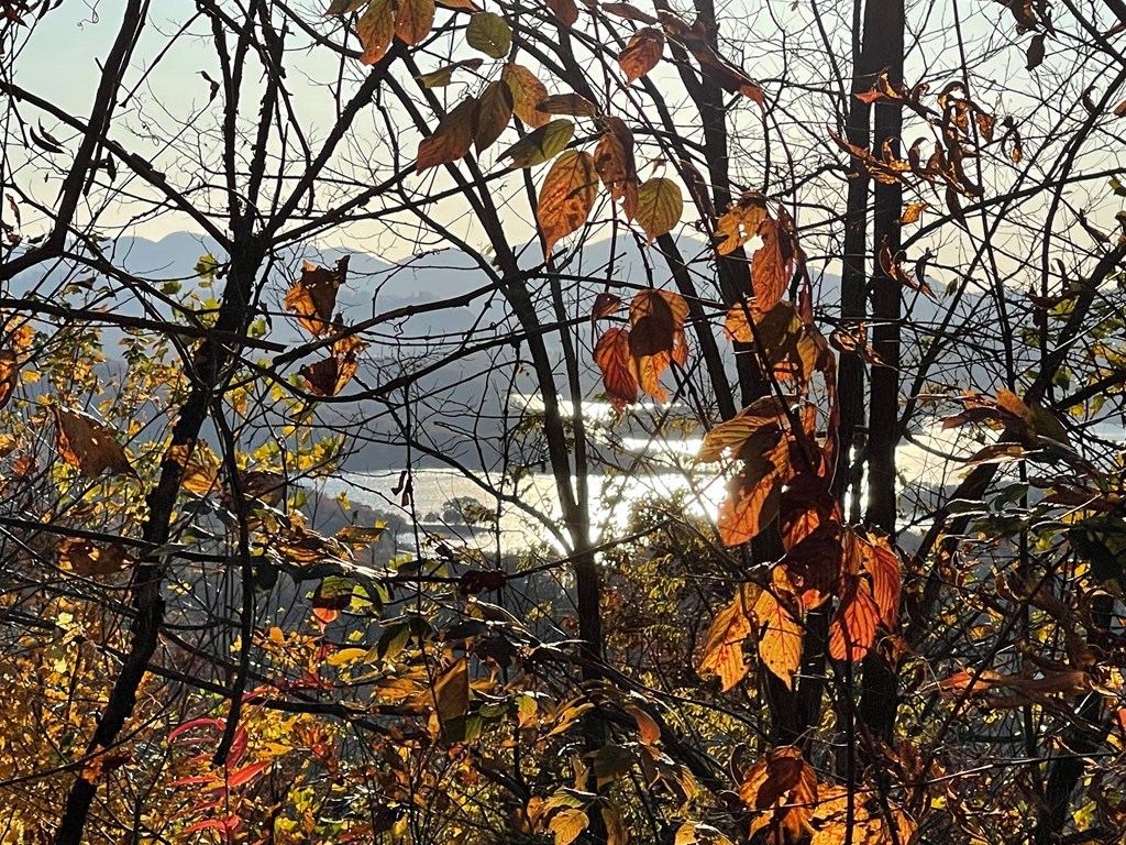 Lot 58 M Ridges Hayesville, NC 28904 - Photo 4 of 4