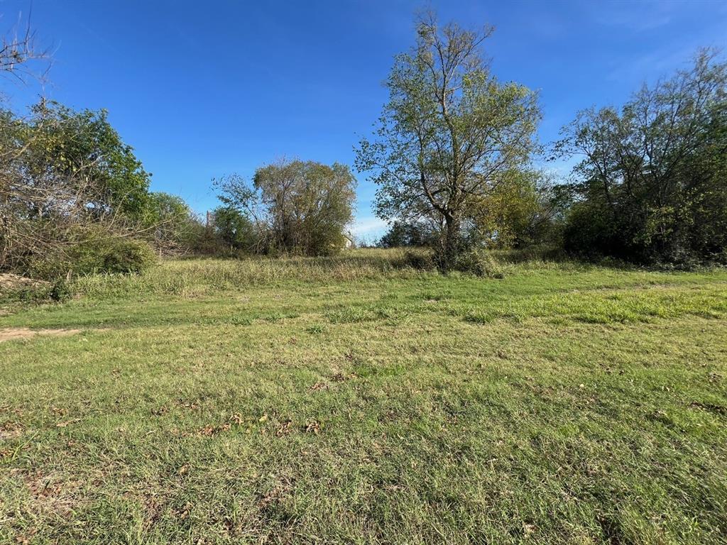 900 North Tbd Farm Road Saltillo, TX 75478 - Photo 12 of 15 a backyard of a house with lots of green space