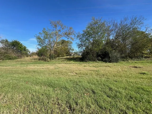 a view of a field with an tree