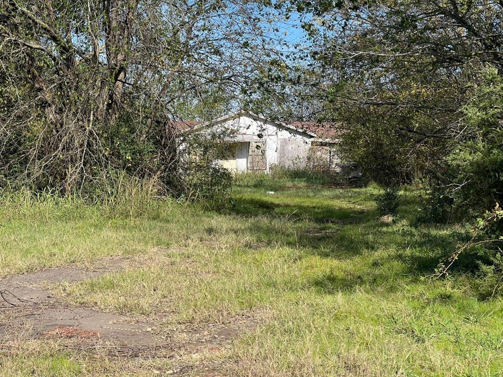 900 North Tbd Farm Road Saltillo, TX 75478 - Photo 2 of 15 a big yard with lots of green space and bushes