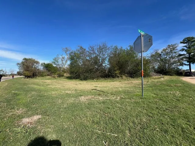 a view of a green field with an tree