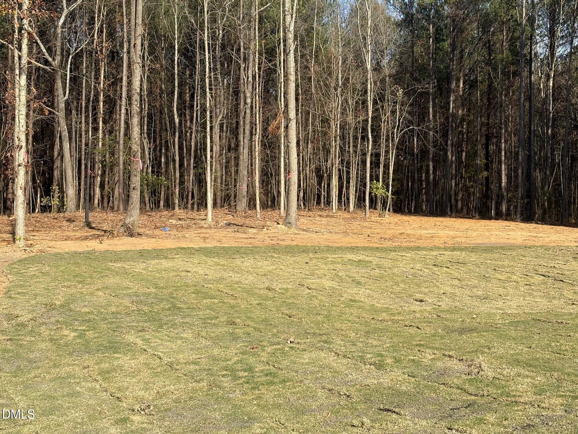 7 East Victoria Ridge Drive, Unit 16 Selma, NC 27576 - Photo 4 of 45