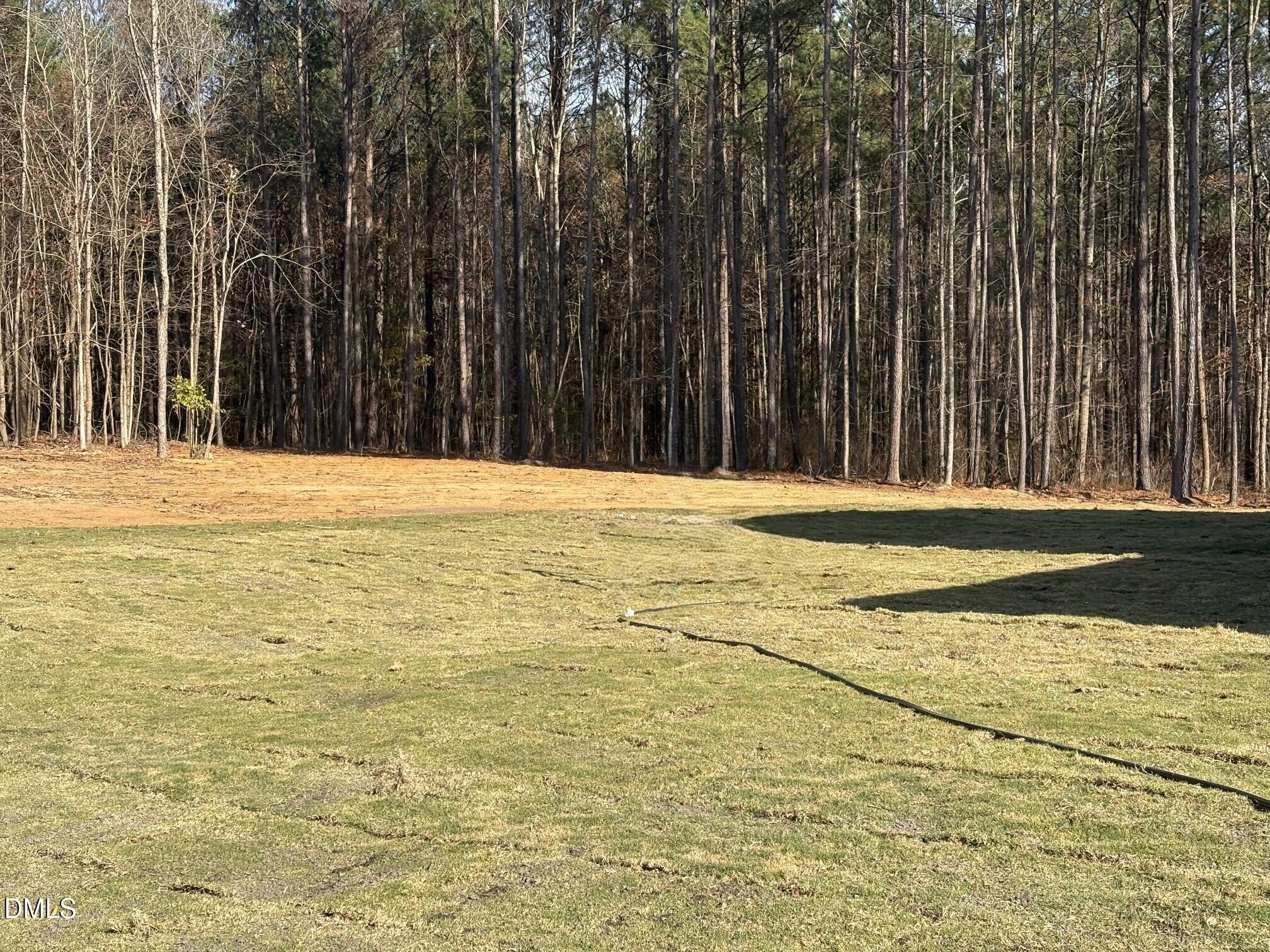 7 East Victoria Ridge Drive, Unit 16 Selma, NC 27576 - Photo 5 of 45 a view of empty space with yard