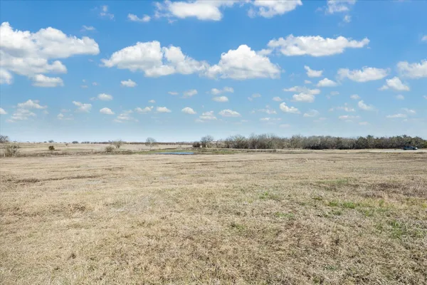 a view of a big yard with lots of green space