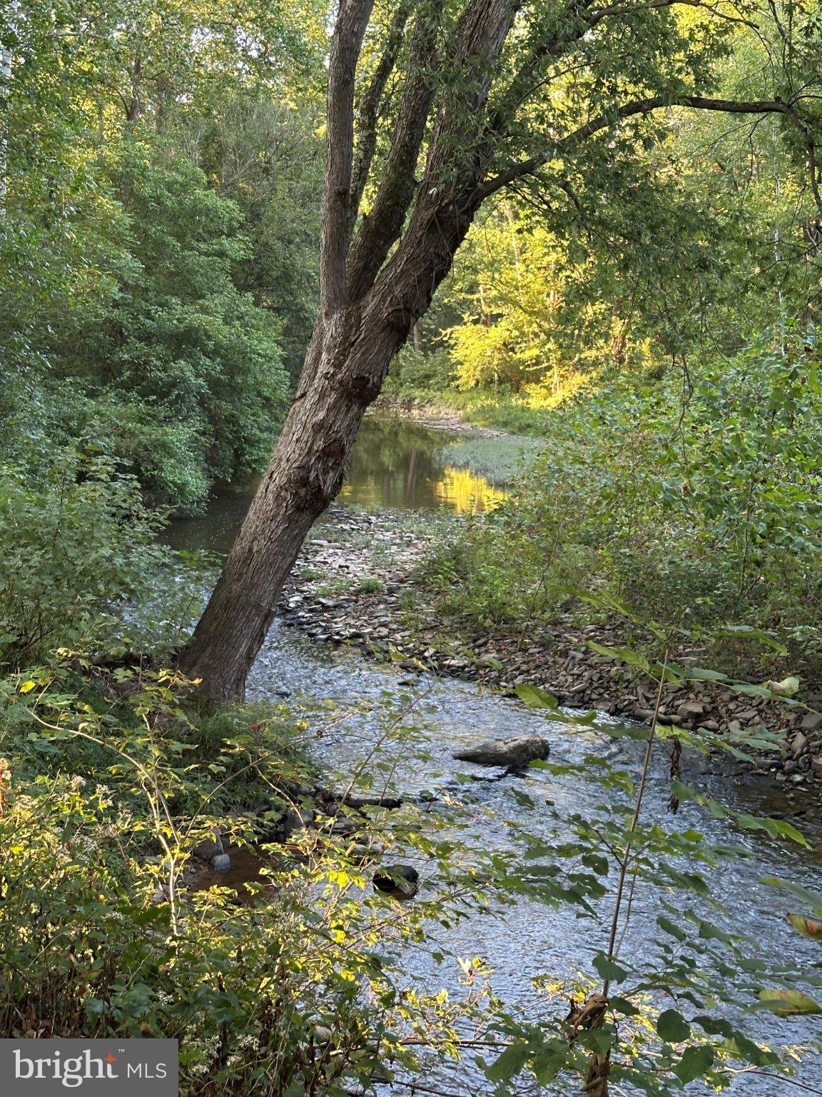 9184 Cold Stream Road Capon Bridge, WV 26711 - Photo 6 of 55 Gallery Image 6