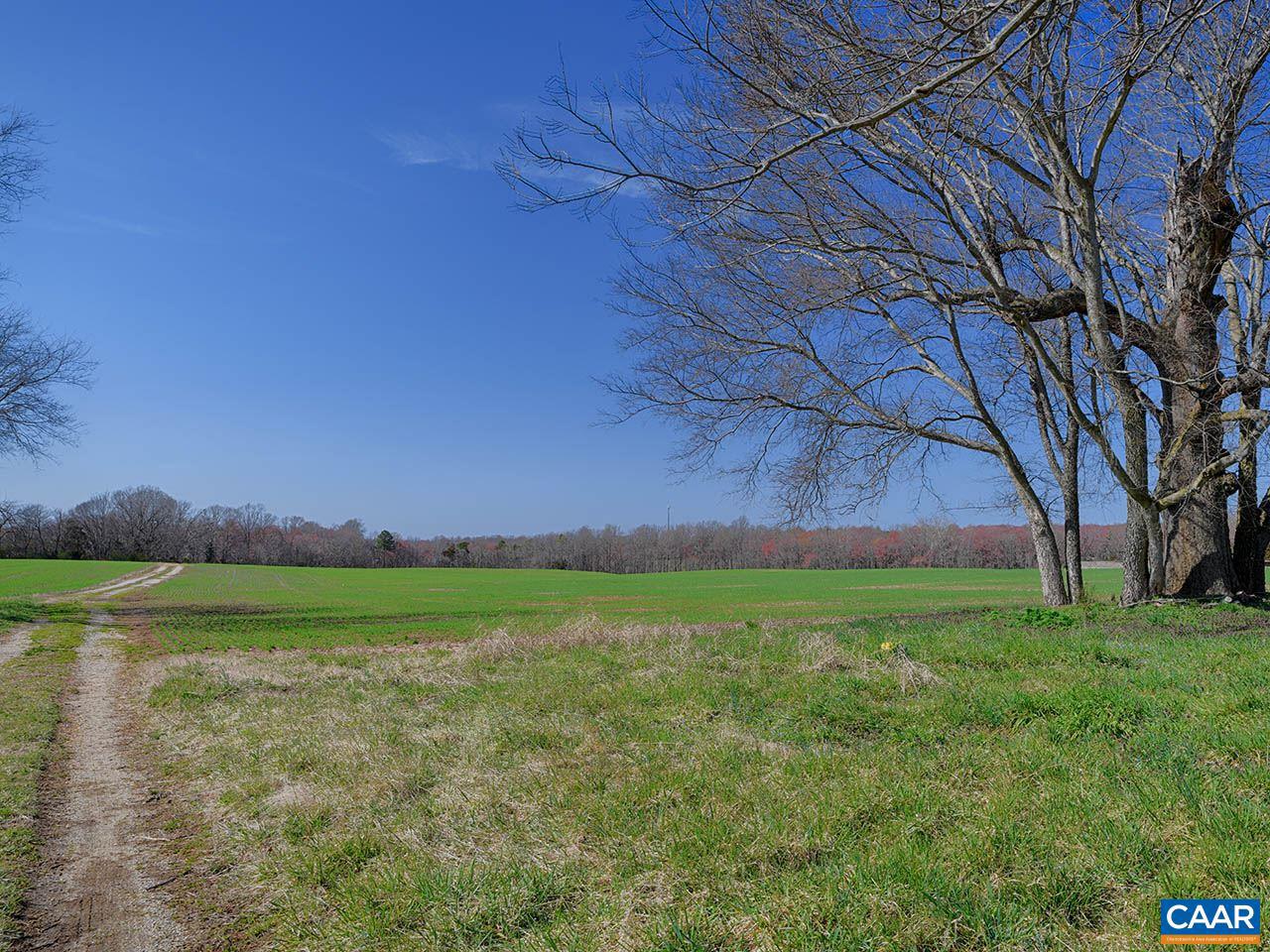 Tbd2 Cardwell Road Crozier, VA 23039 - Photo 7 of 36