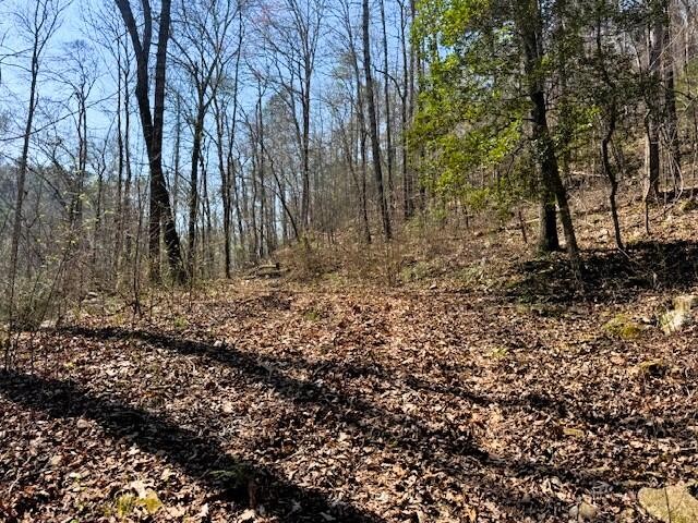 768 Ellis Creek Road Reliance, TN 37369 - Photo 4 of 18