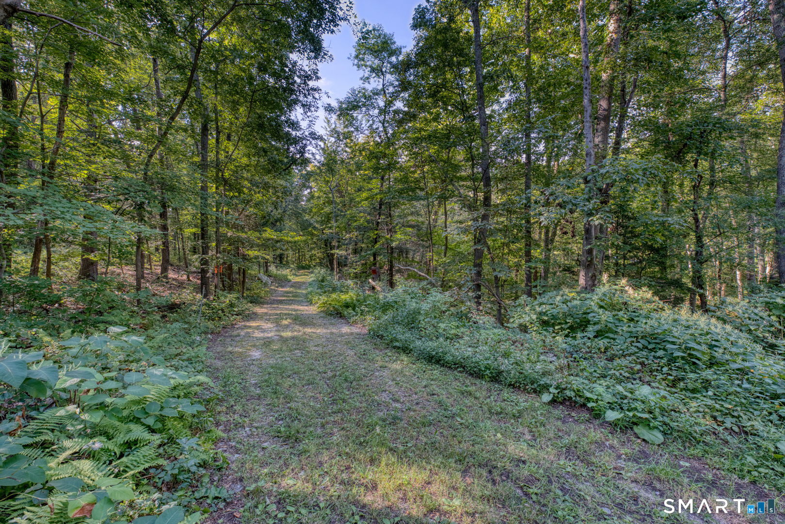 335 Old Post Road Tolland, CT 06084 - Photo 11 of 13 Peaceful wooded setting offering privacy and a natural environment.