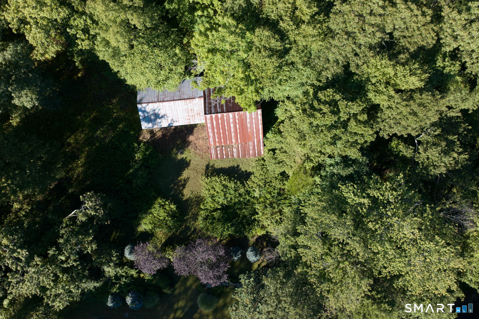 335 Old Post Road Tolland, CT 06084 - Photo 3 of 13 Additional angle illustrating the depth and natural setting of the property.