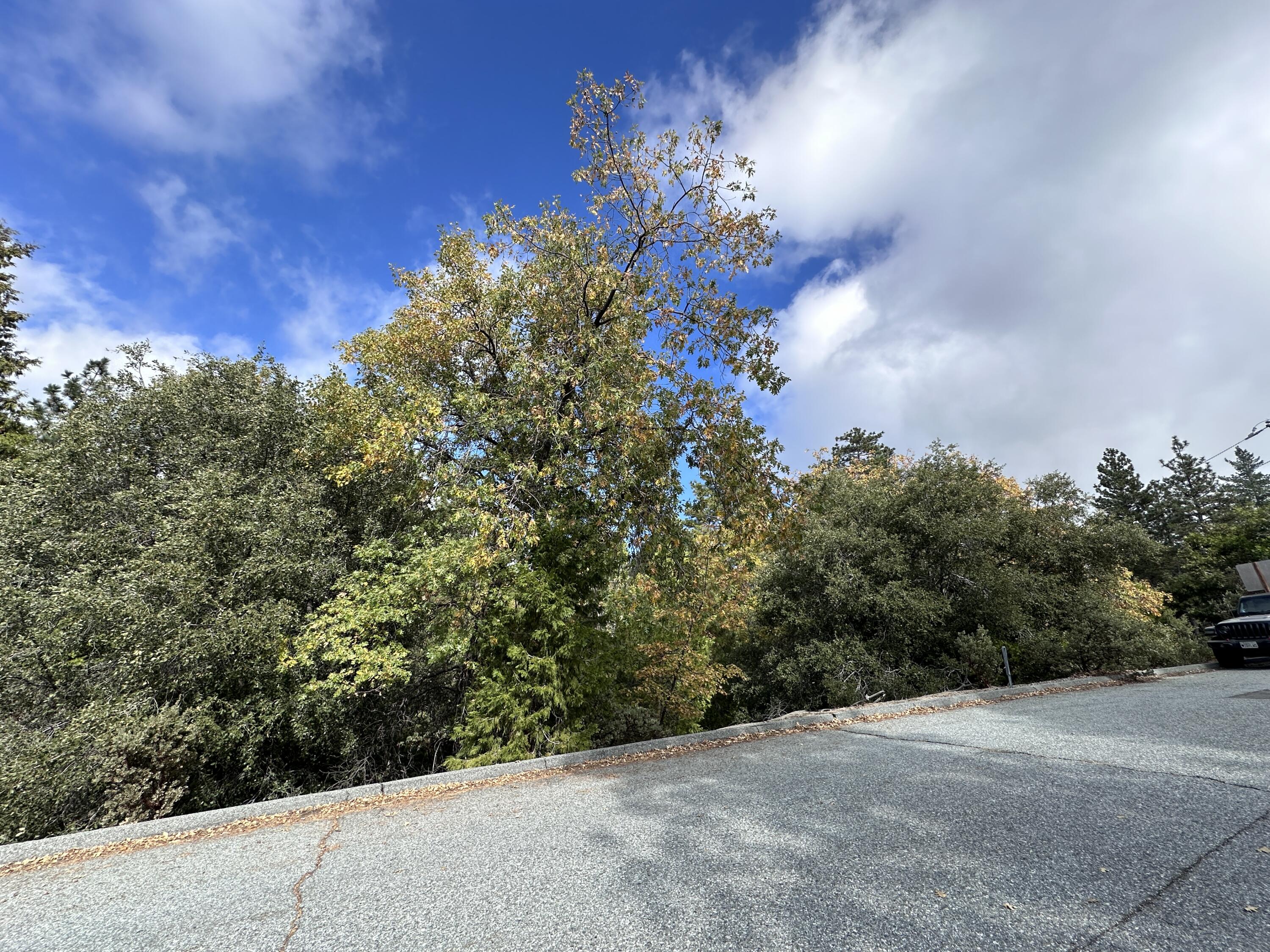 0 Round Robin Drive Idyllwild, CA 92549 - Photo 12 of 12 a view of a house with a street