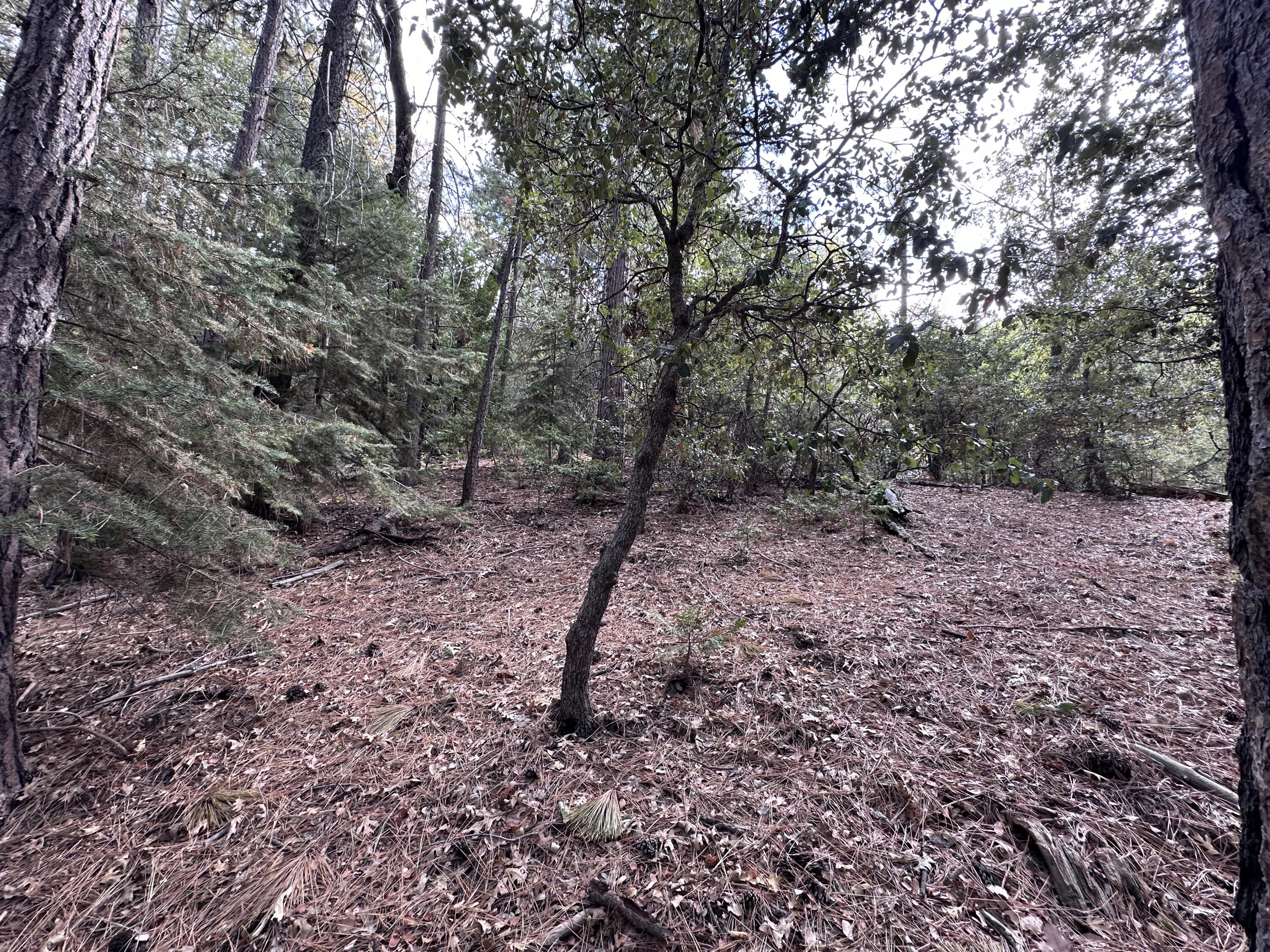 0 Round Robin Drive Idyllwild, CA 92549 - Photo 7 of 12 a backyard of a house with lots of green space