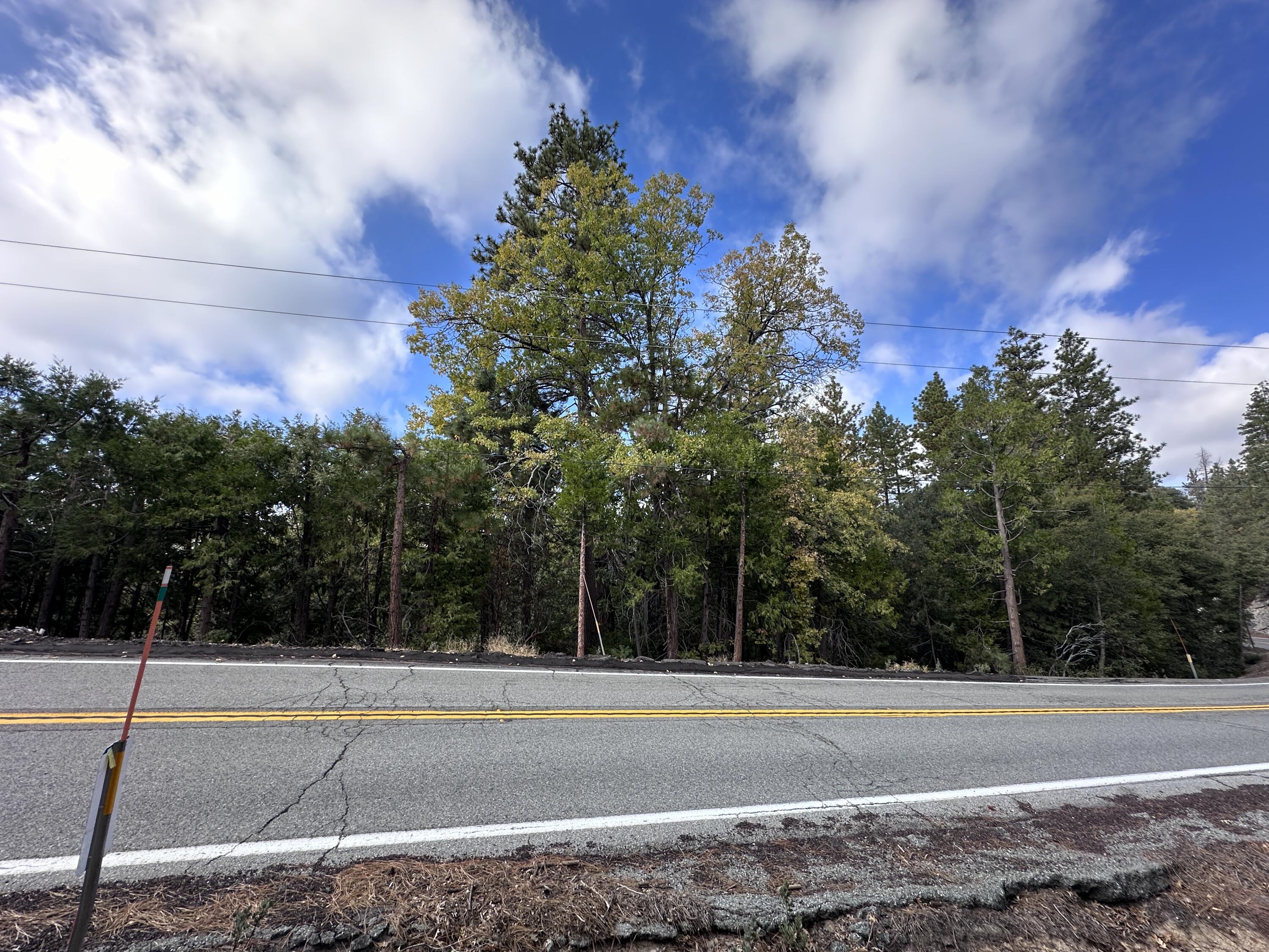 0 Round Robin Drive Idyllwild, CA 92549 - Photo 10 of 12 a view of a tennis court