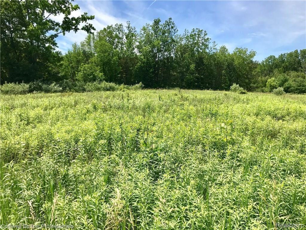 0 Lake Road Otisville, MI 48463 - Photo 5 of 12