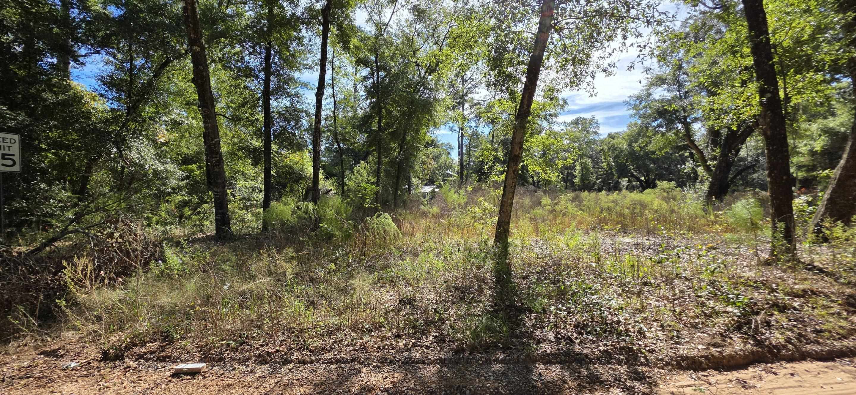 12540 3rd Avenue Foley, AL 36535 - Photo 13 of 22