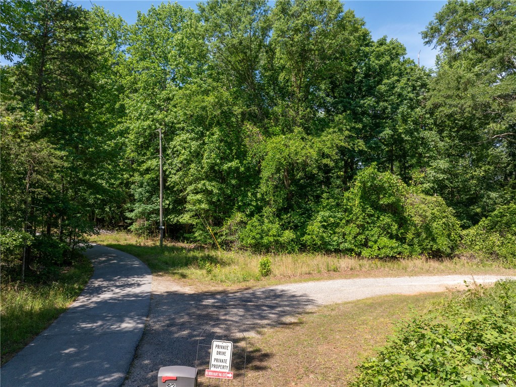 0 Ben Hurt Road Lyman, SC 29365 - Photo 18 of 21 A secluded wooded lot offers ample privacy and direct access via a private drive.