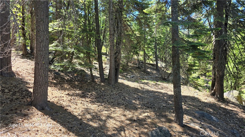 0 Fish Creek Forest Ranch, CA 95942 - Photo 24 of 43 Side yard toward fire pit