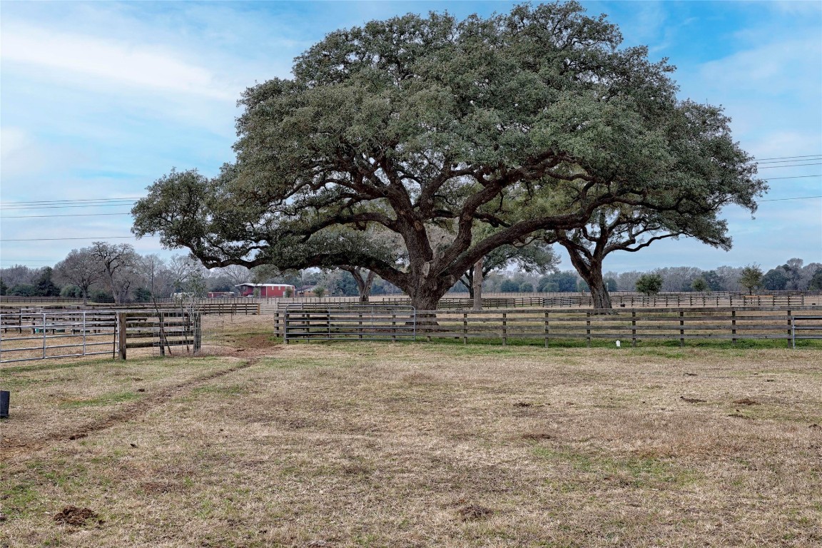 66 County Road 77D Schulenburg, TX 78956 - Photo 12 of 31 a view of park bench