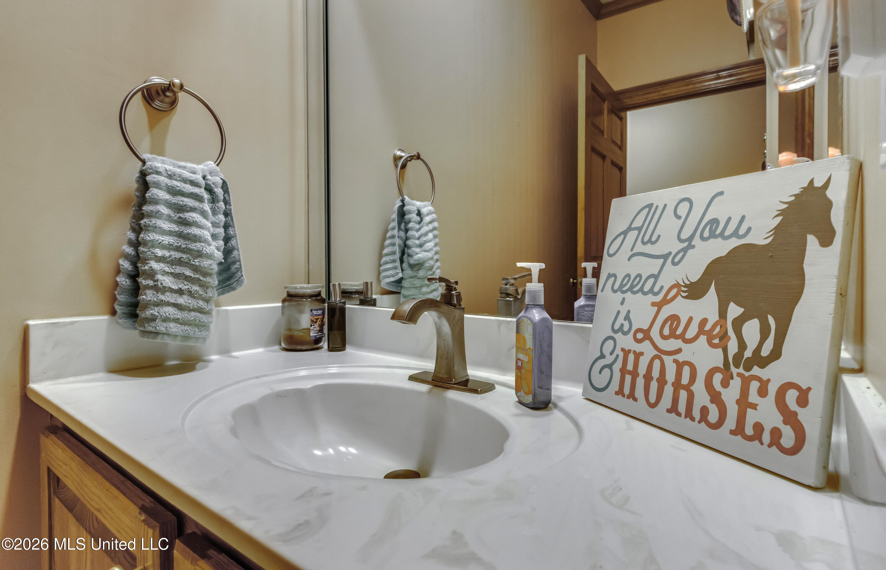 2865 7 Springs Road Raymond, MS 39154 - Photo 42 of 103 2865 Seven Springs Rd--65