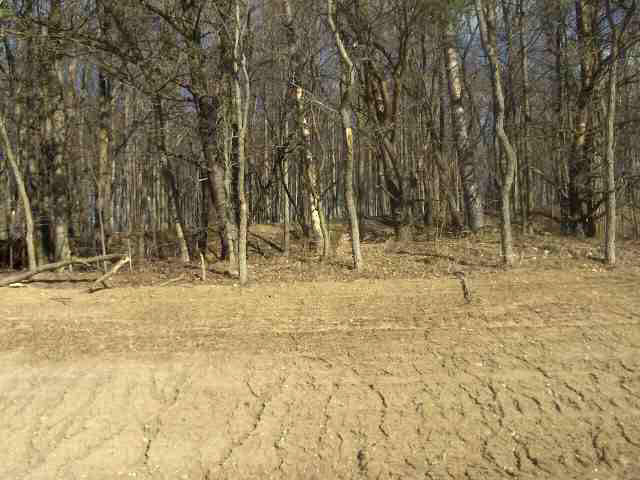 68940 Red Cedar Road New Paris, IN 46553 - Photo 2 of 8 Gallery Image 2