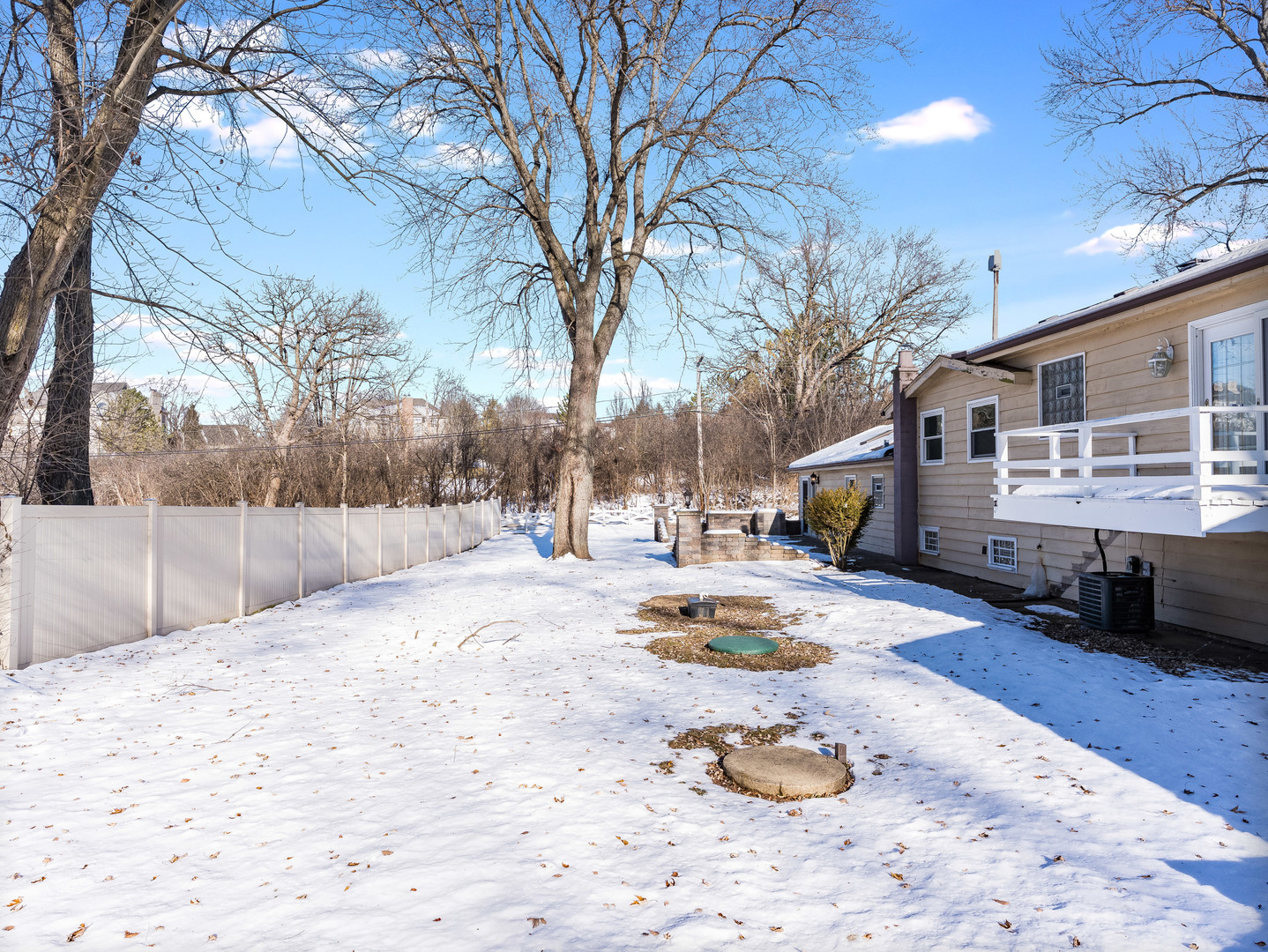 25216 River Road Lake Barrington, IL 60010 - Photo 28 of 36 a view of back yard of the house