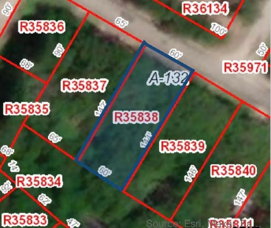 104 Red Bluff Loop Mabank, TX 75156 - Photo 3 of 8