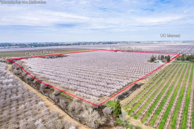 a view of a terrace with skyline