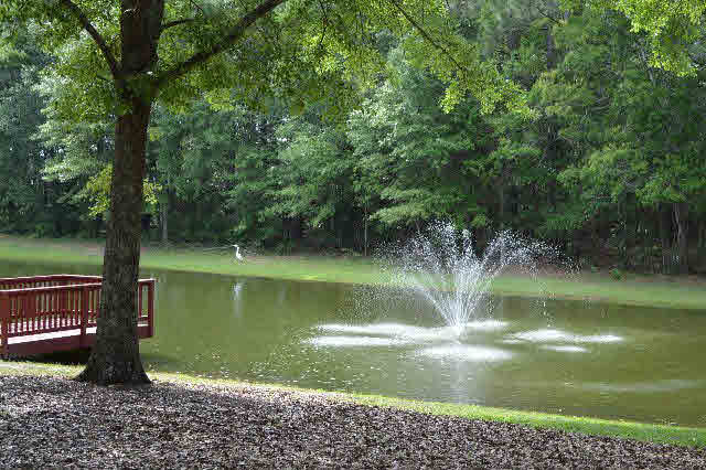 16526 Scepter Court Loxley, AL 36551 - Photo 18 of 22