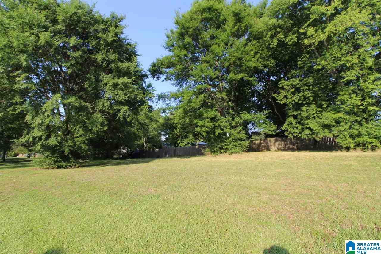 375 Wet Cat Road Hayden, AL 35079 - Photo 17 of 21