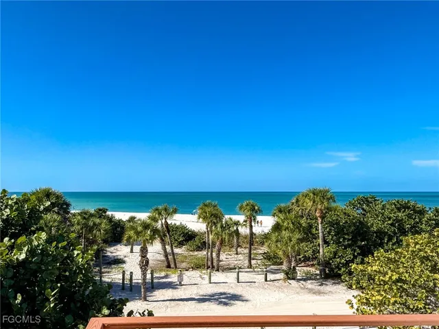 a view of balcony with wooden floor and a potted plant
