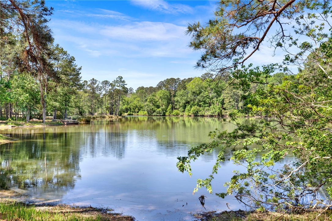 203 Old Rail Road Bloomingdale, GA 31302 - Photo 40 of 51