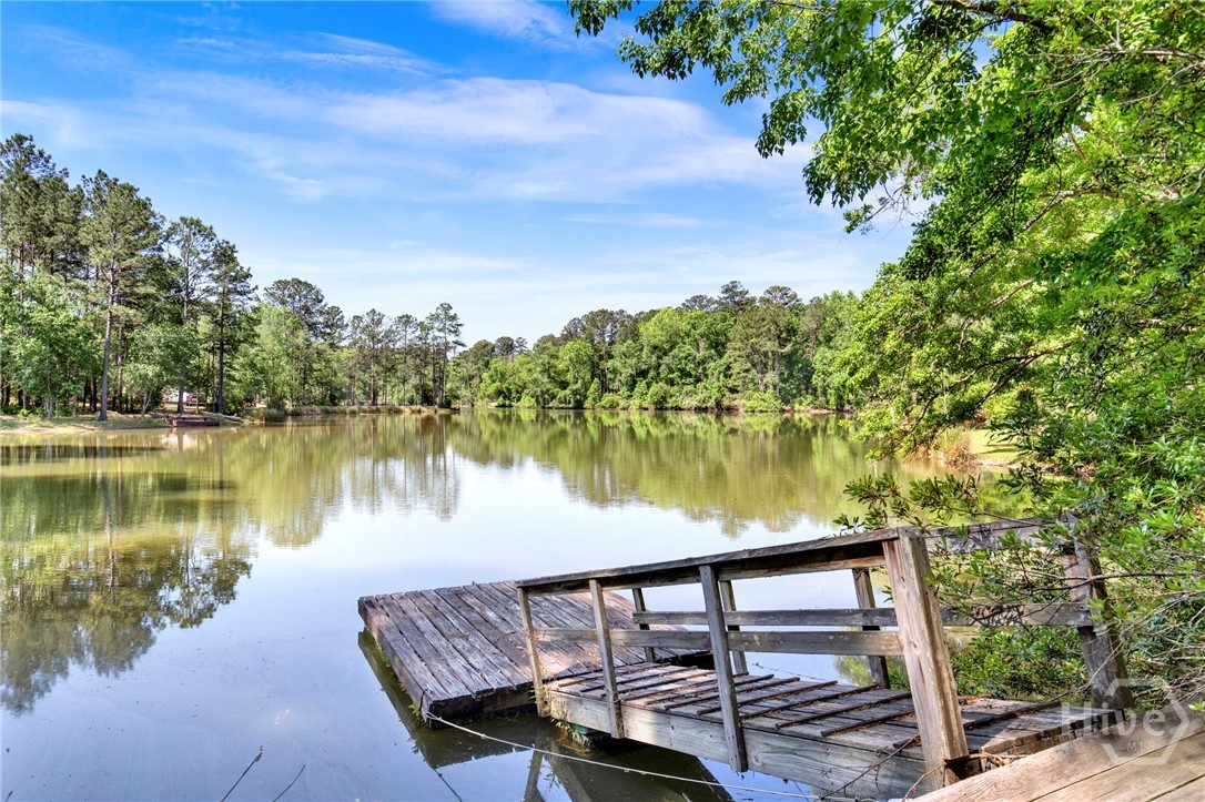 203 Old Rail Road Bloomingdale, GA 31302 - Photo 41 of 51