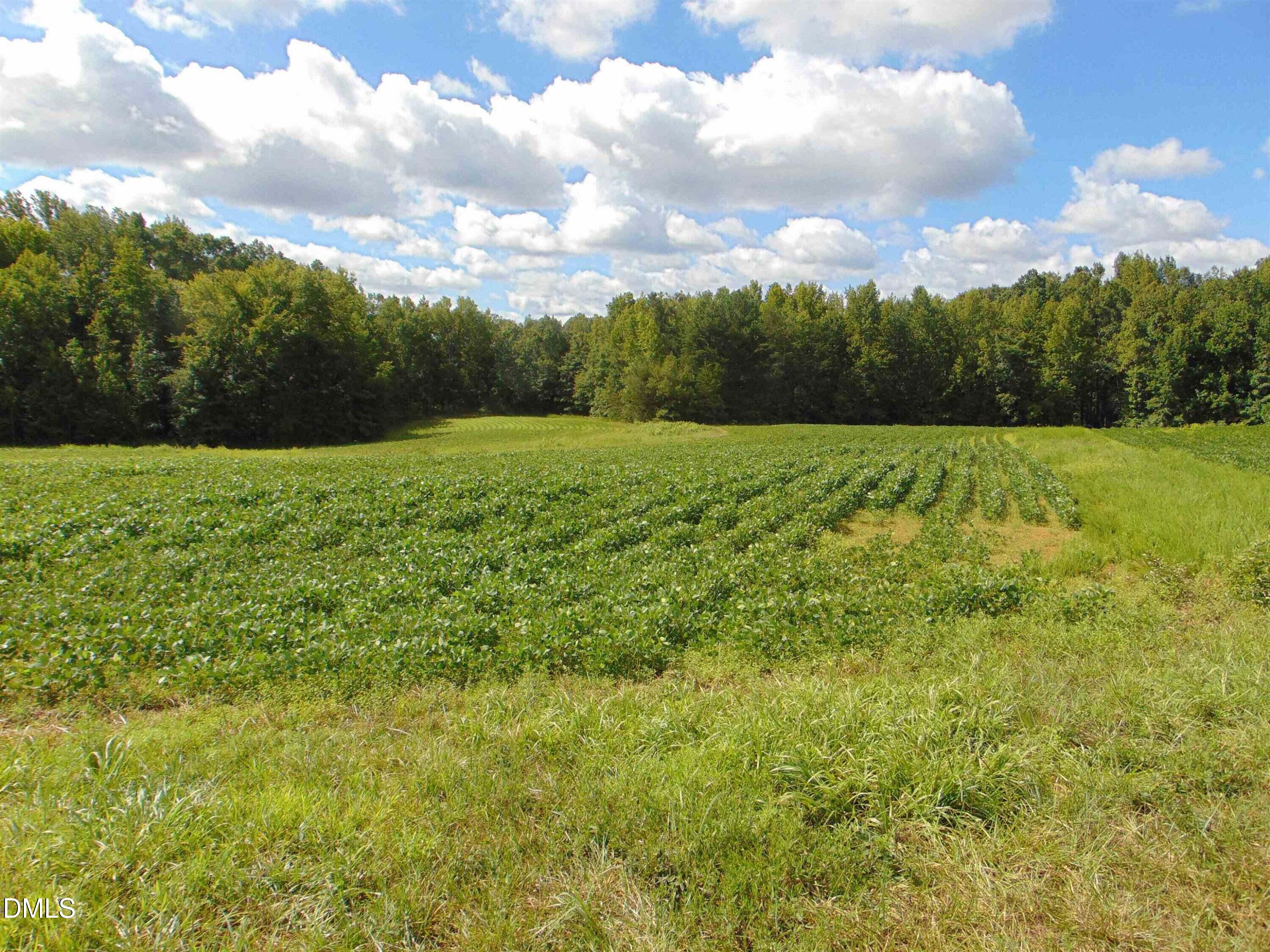 Lot 2 Caviness Jordan Road Cedar Grove, NC 27231 - Photo 11 of 14 a view of an outdoor space and a yard