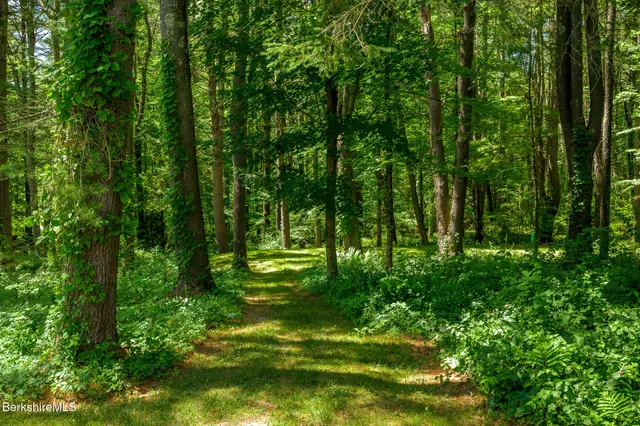 a backyard of a house with lots of green space