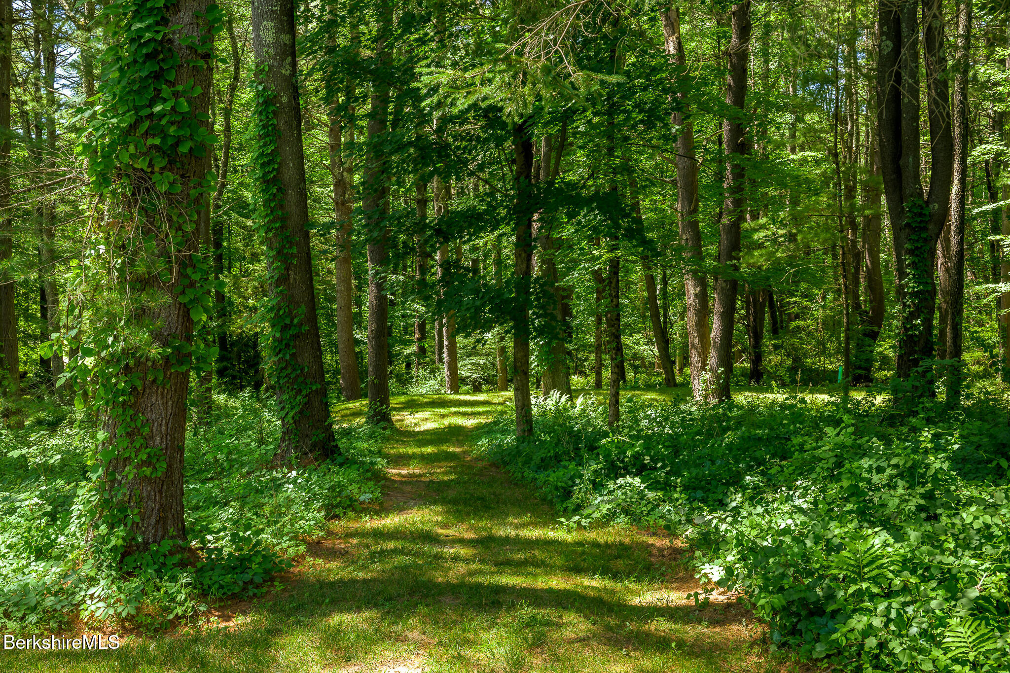 18 Creamery Road Egremont, MA 01230 - Photo 27 of 31 a large yard with lots of green space and trees