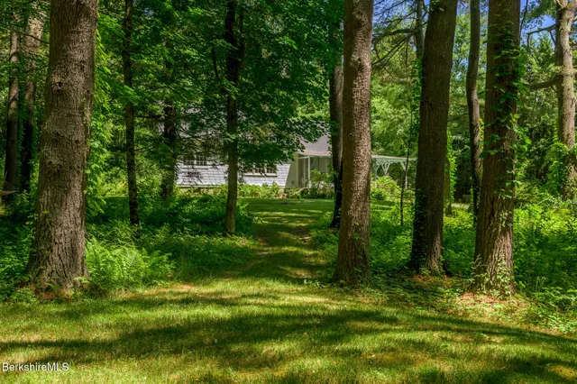 a view of a trees in a yard