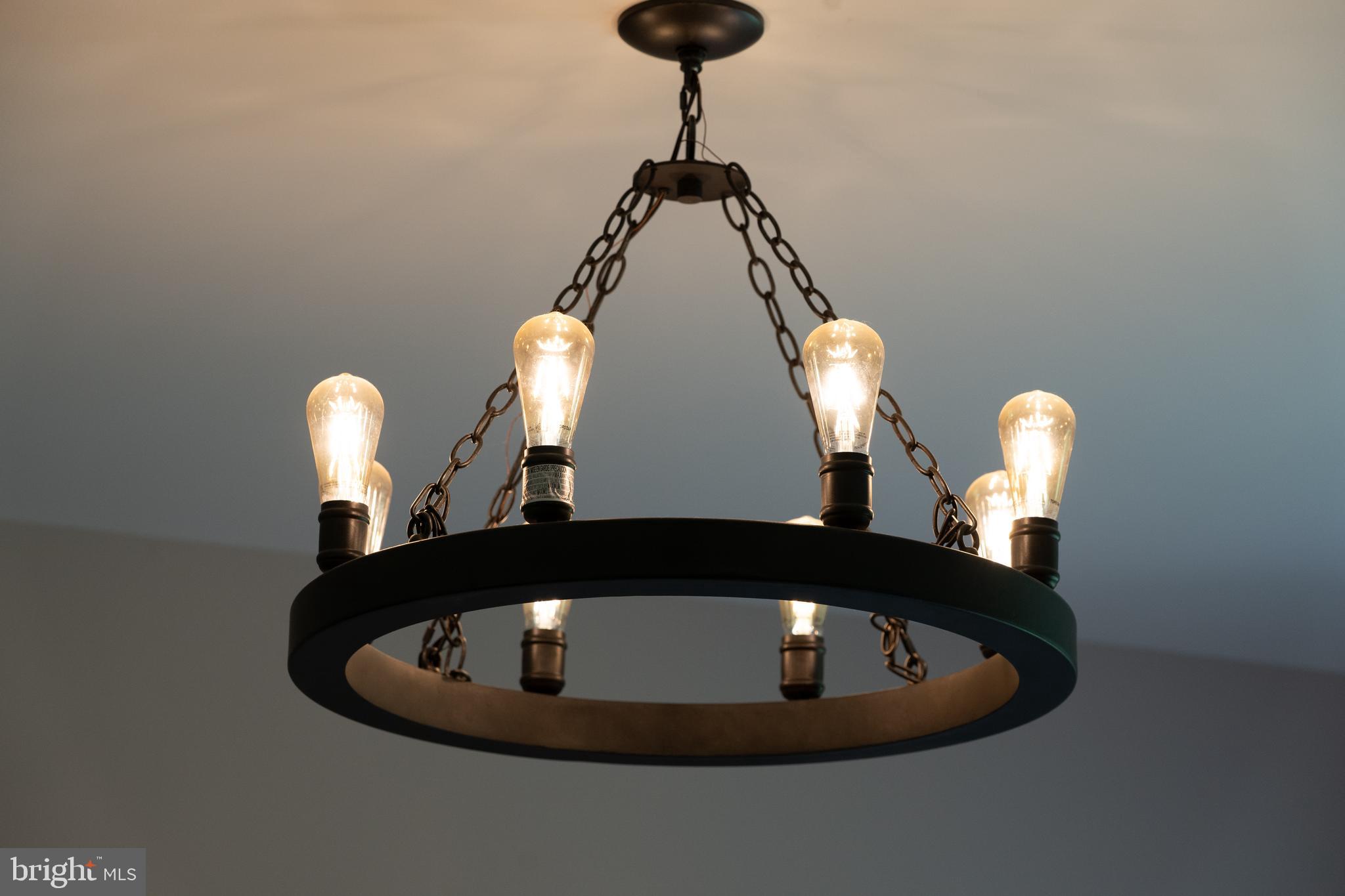 4346 Basford Road Frederick, MD 21703 - Photo 91 of 149 Another custom chandelier, in the dining room