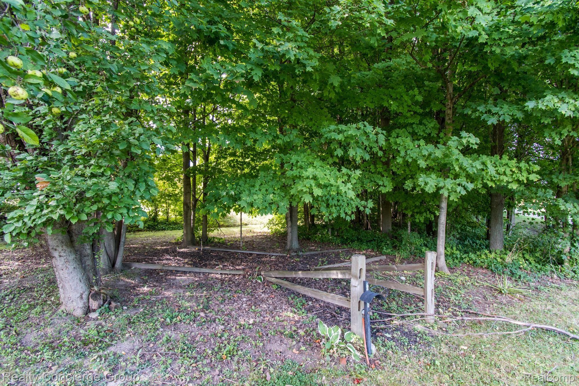5150 North Fowlerville Road Fowlerville, MI 48836 - Photo 36 of 44 Wooded property