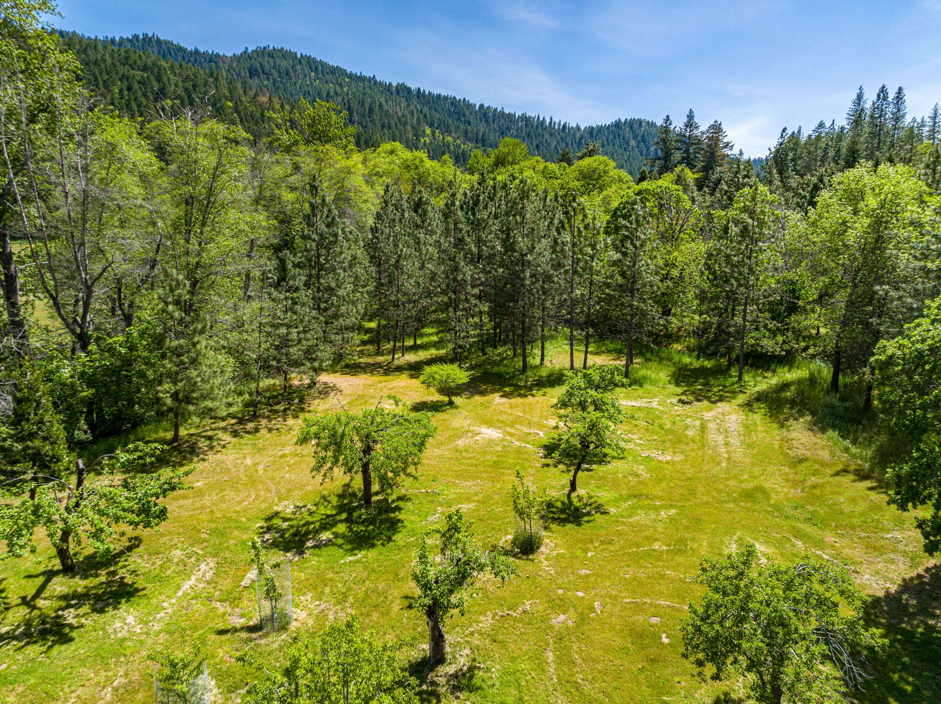4137 Thompson Creek Road Jacksonville, OR 97530 - Photo 52 of 62 28