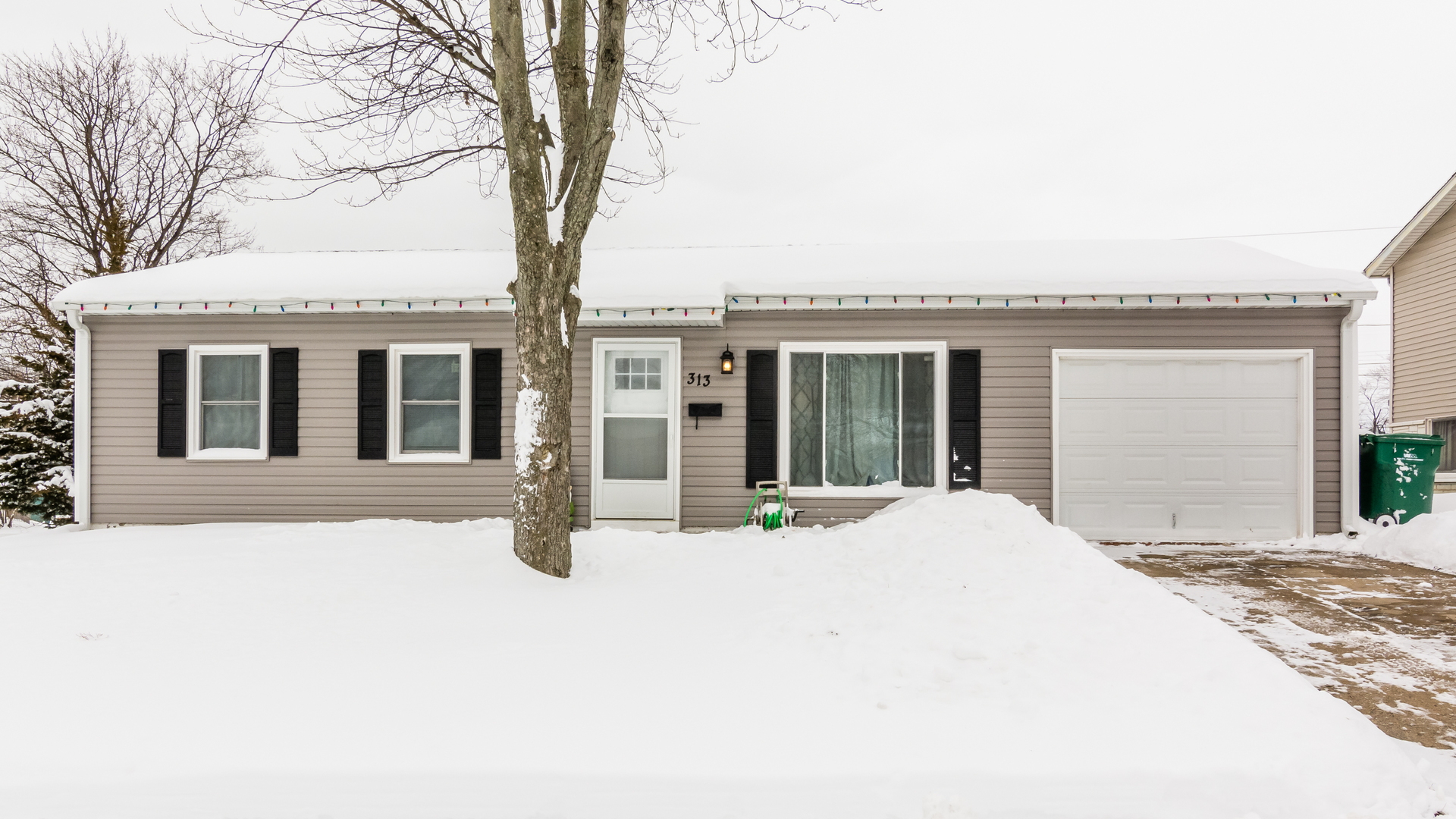 313 Healy Avenue Romeoville, IL 60446 - Photo 1 of 24 a house with trees in front of it