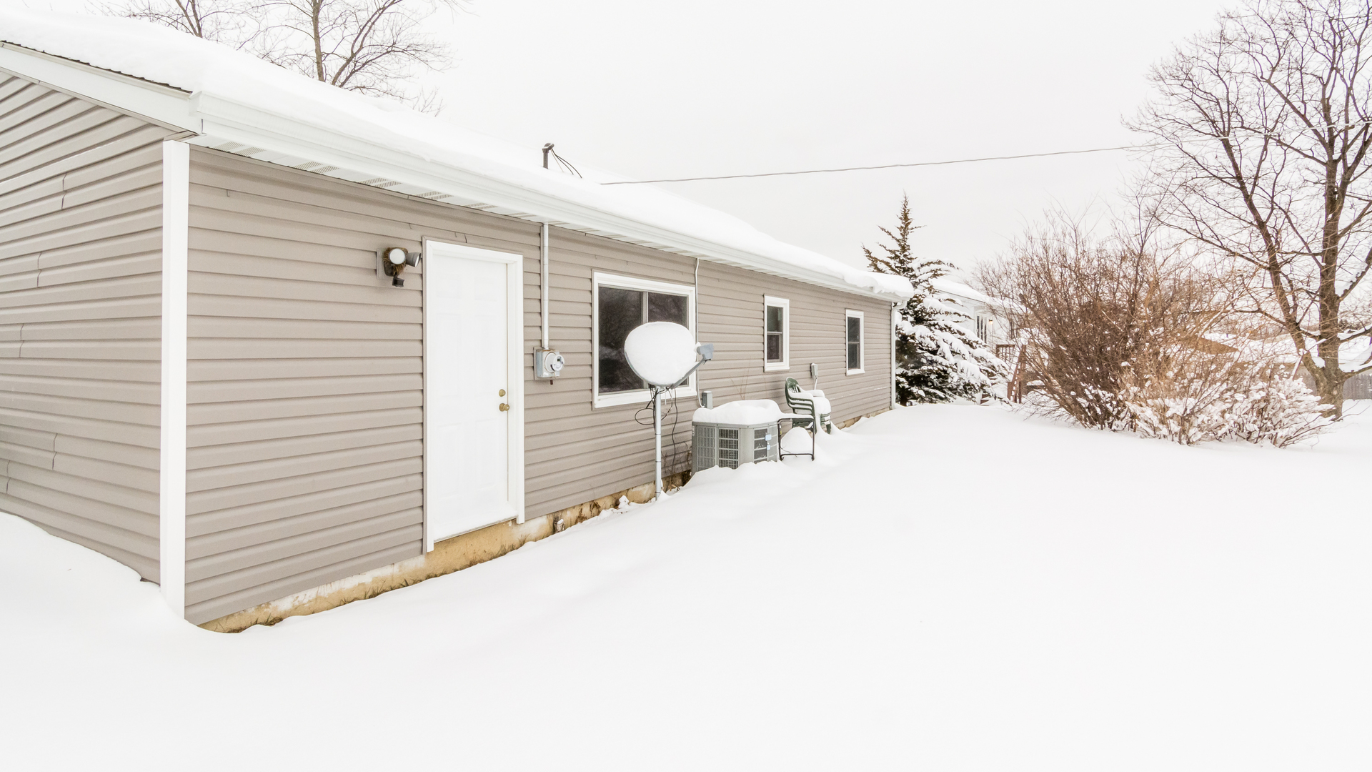 313 Healy Avenue Romeoville, IL 60446 - Photo 2 of 24 a view of a backyard with large tree
