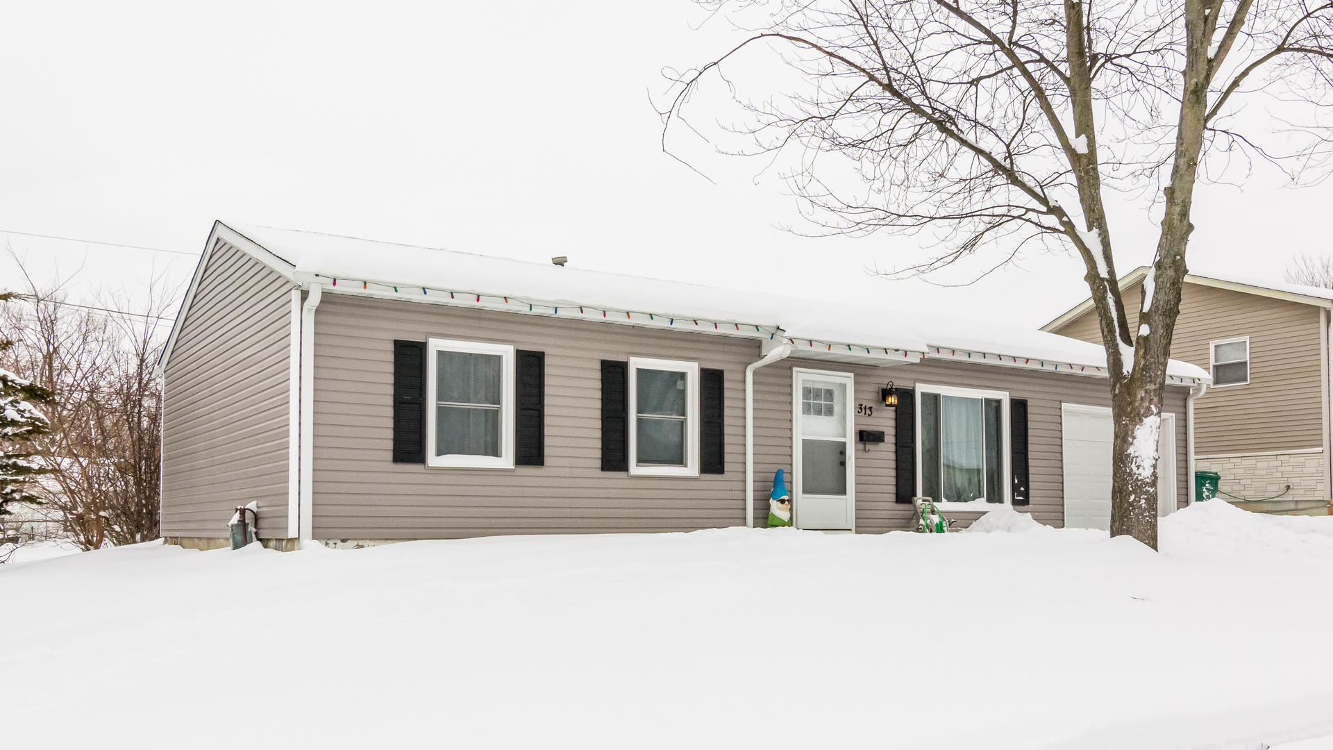 313 Healy Avenue Romeoville, IL 60446 - Photo 23 of 24 front view of a house with a trees