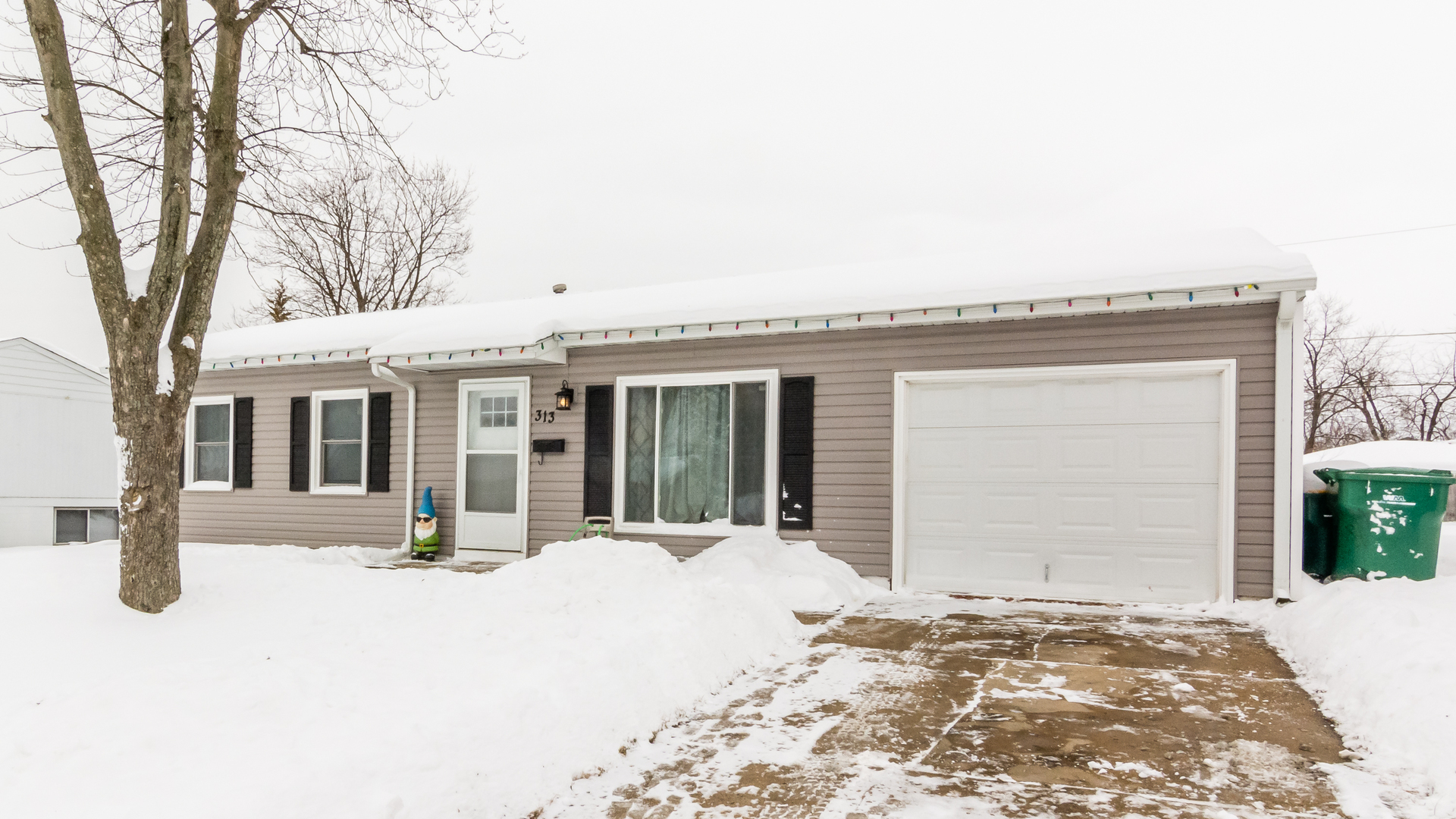 313 Healy Avenue Romeoville, IL 60446 - Photo 24 of 24 a front view of a house with a outdoor space